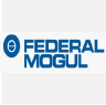 Federal Mogul