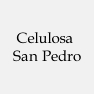 Celulosa San Pedro